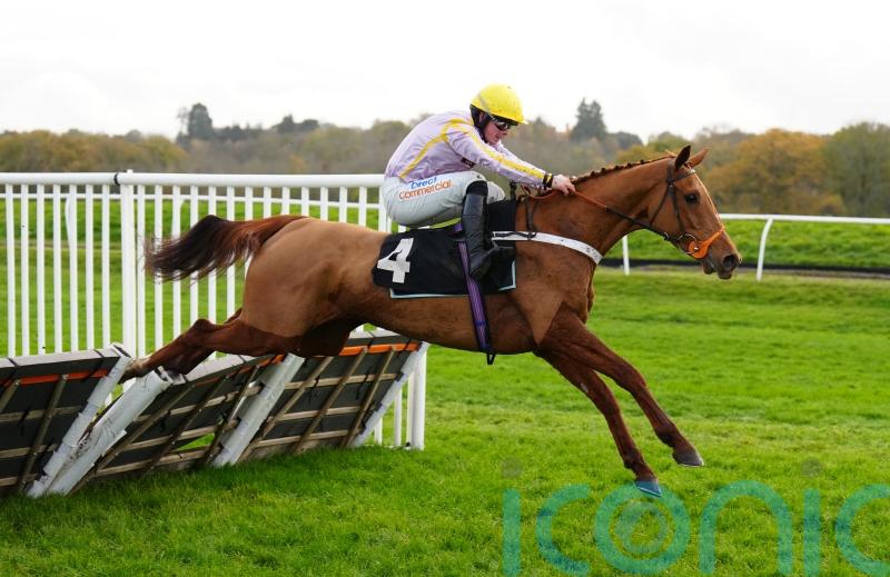 Luccia impresses with Listed verdict on hurdles debut