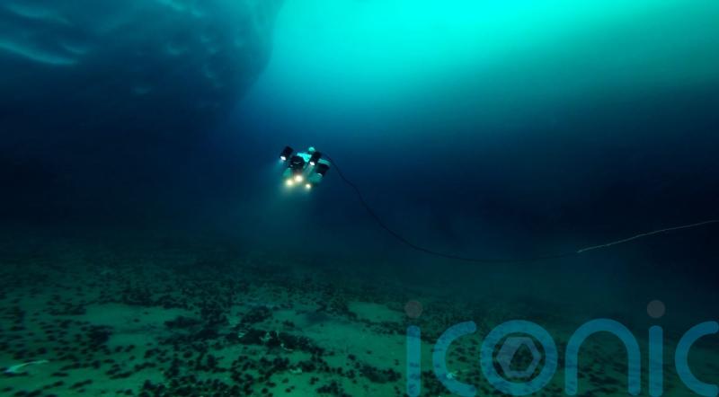 Scientists make new discovery in Antarctica