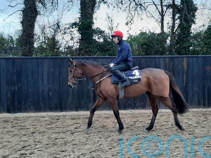 Galvin to spearhead Gordon Elliott&rsquo;s Christmas team