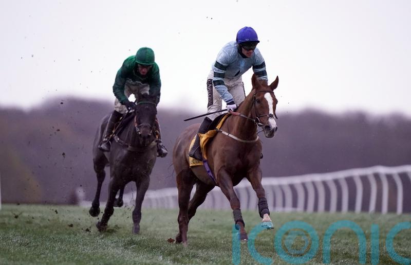 Morrison eyeing Ascot options for Not So Sleepy