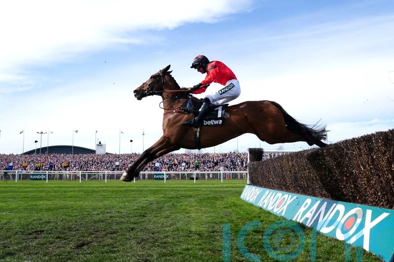 Ahoy Senor seeking return to winning ways in Many Clouds test