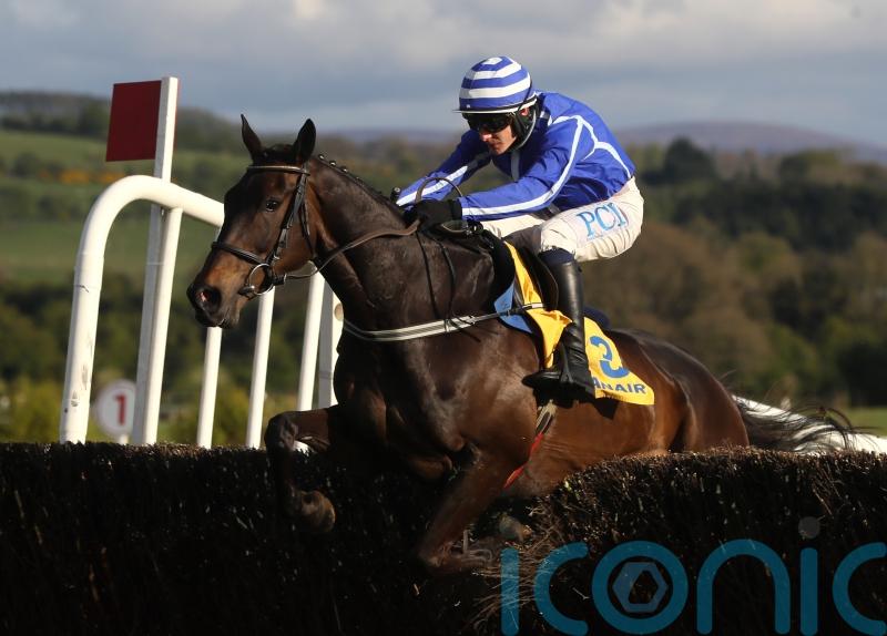 Energumene on course for Cork comeback