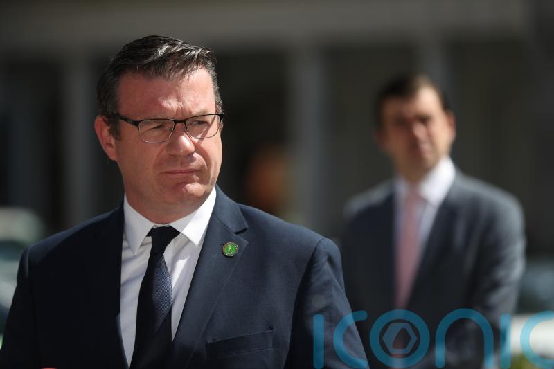 Mandatory disclosure Bill &lsquo;does not pass Vicky Phelan test&rsquo;, Dail told