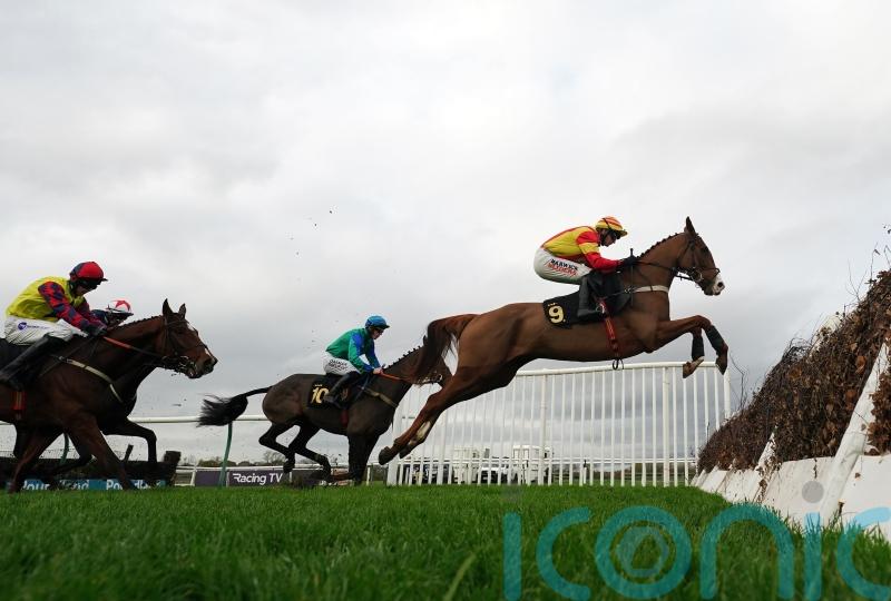 Neil King happy to wait with Lookaway until stable starts firing