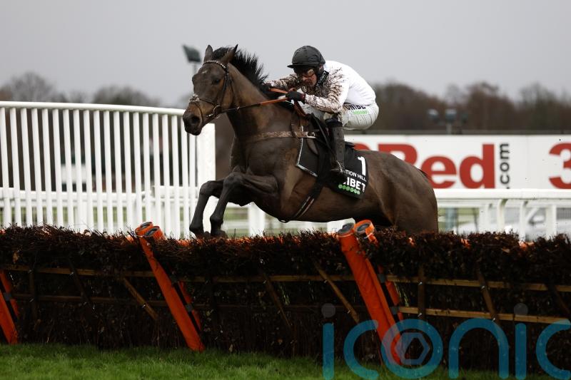 Kempton could be it for Constitution Hill before Cheltenham