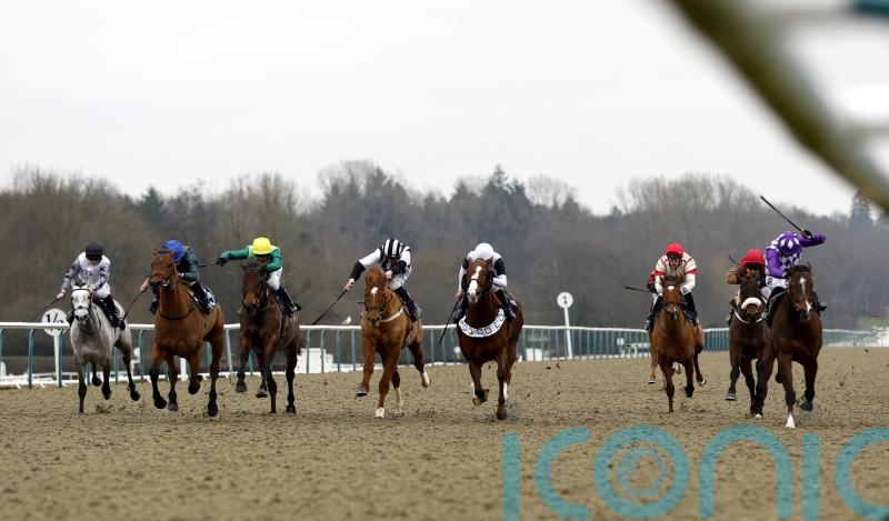 Further inspection called for meeting at Lingfield