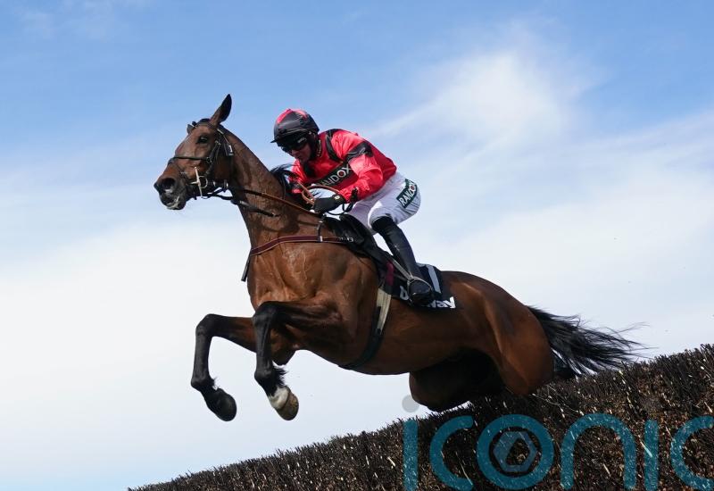 Ahoy Senor headlines 25 contenders for Rowland Meyrick highlight