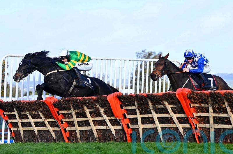 Exciting prospect Cougar all set for Christmas test