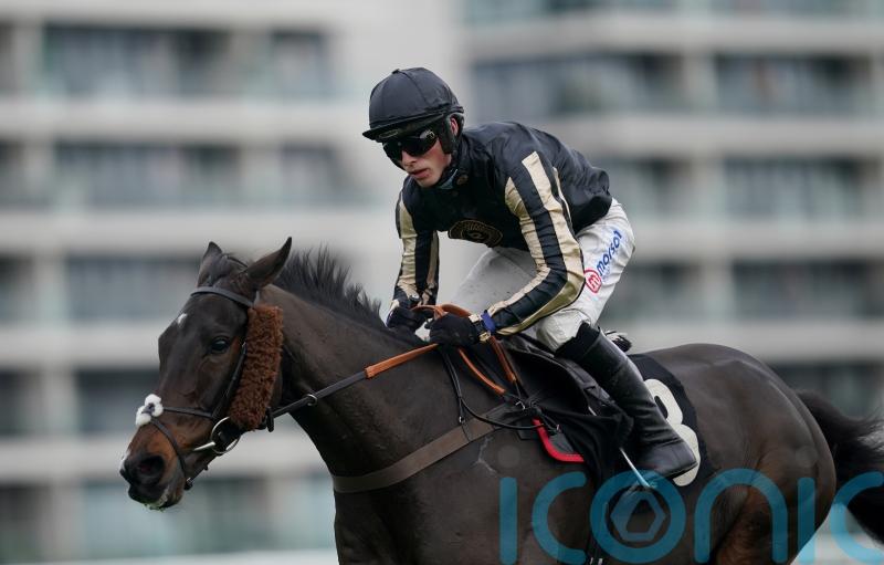 McFabulous chance of another Kauto Star success for Nicholls