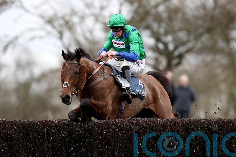 Nicholls hoping Truckers Lodge can give Freddie Gingell poignant Welsh National winner