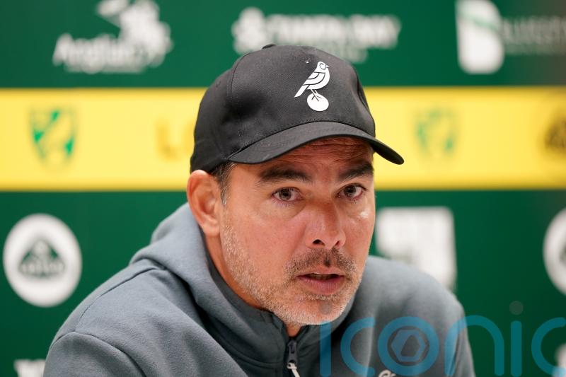 New boss David Wagner calls for collective effort in bid to turn Norwich around