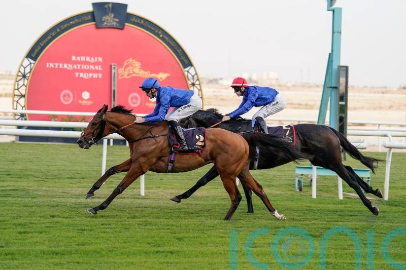 Dubai Future bidding to book Sheema Classic ticket at Meydan