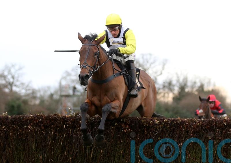 Galia Des Liteaux gallops to taking Warwick triumph