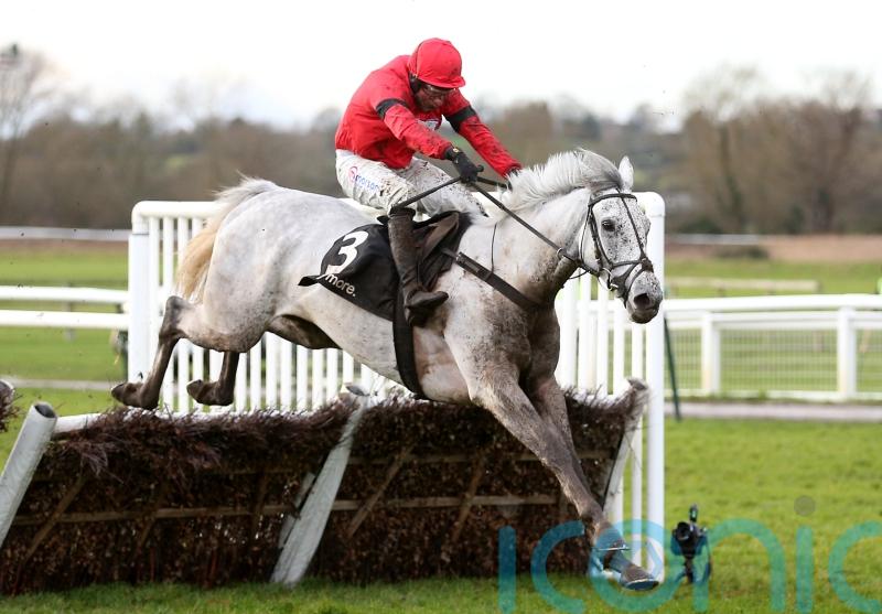 Grey Dawning takes step up in class in his stride