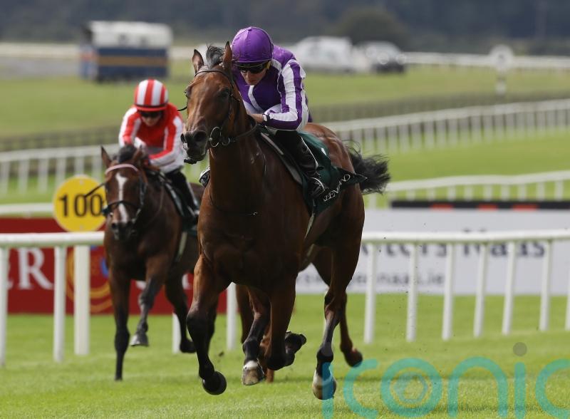 Little Big Bear crowned top juvenile in Europe for last year