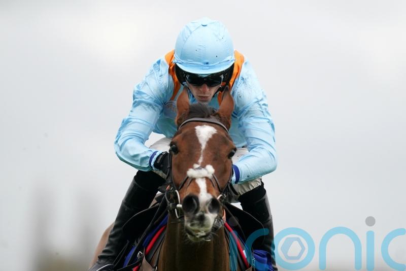 No rush for Red Risk plans after Kempton near-miss