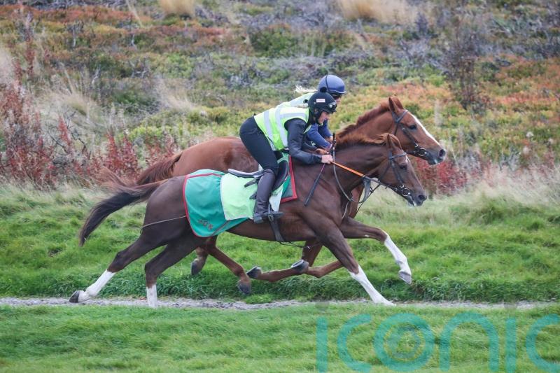 Beep Beep Burrow primed for Doncaster debut