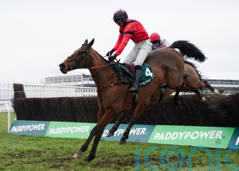 Ahoy Senor back to his best for emotional Cotswold Chase success