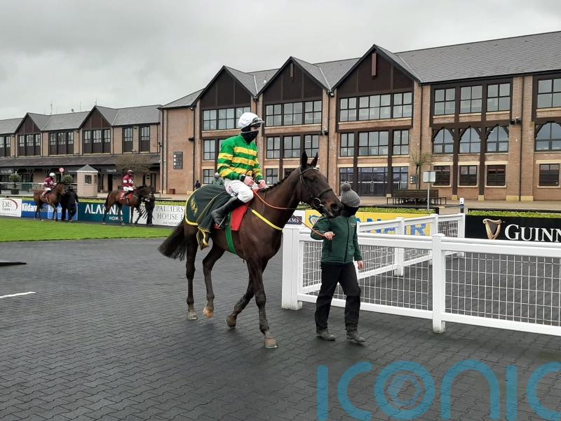 Thedevilscoachman awarded Grade Three prize at Naas