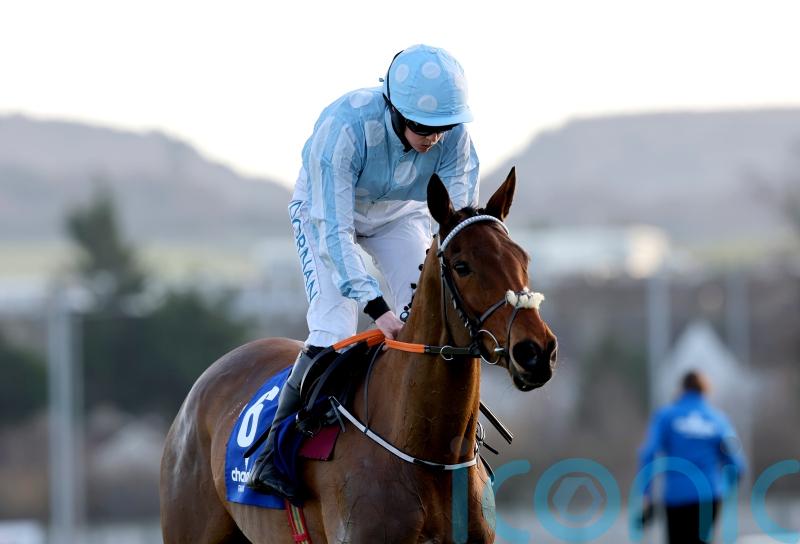 Mares&rsquo; Hurdle or retirement for Honeysuckle, but no Champion Hurdle