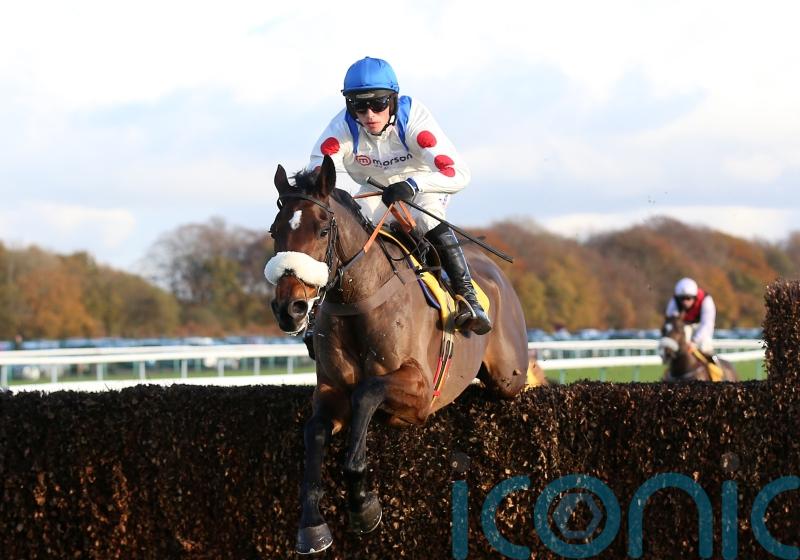 Nicholls backing Hitman for Denman redemption