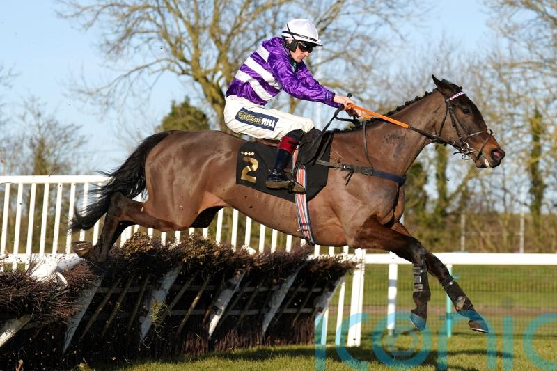 Cheltenham run not ruled out for Rare Edition
