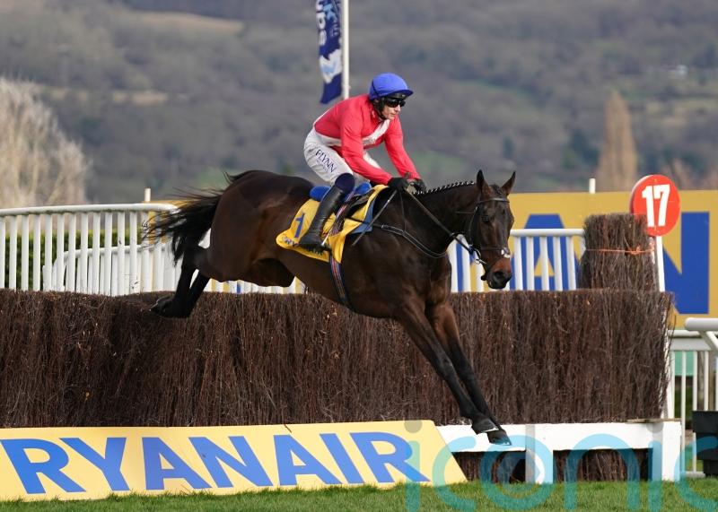 Allaho to miss Cheltenham due to abdominal bleed