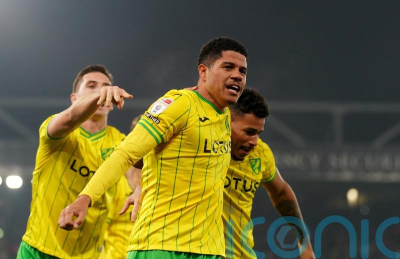 Norwich dominate Hull to end long wait for home win