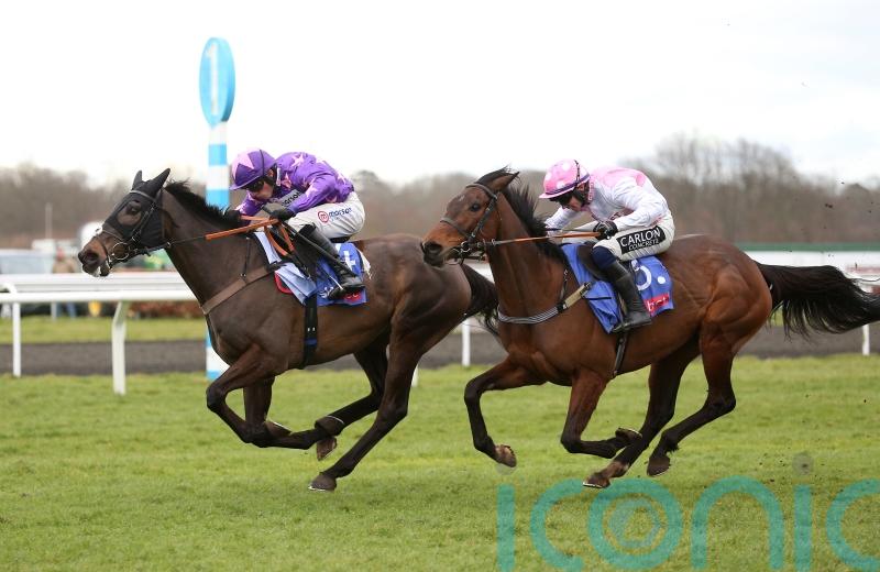 Rubaud makes amends for Betfair Hurdle reverse