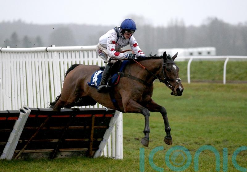 Hermes Allen backed for Ballymore glory