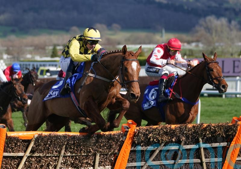Colonel Mustard heads to Kelso to set out Cheltenham case