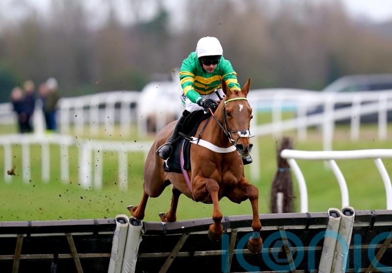 Under Control has Newbury covered in stylish winning debut