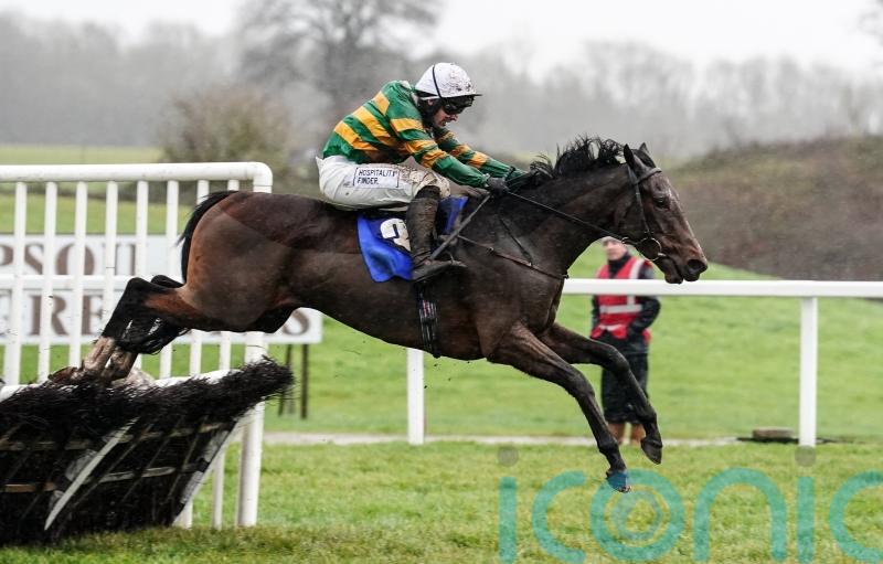 Comfort Zone forced to miss Triumph Hurdle bid