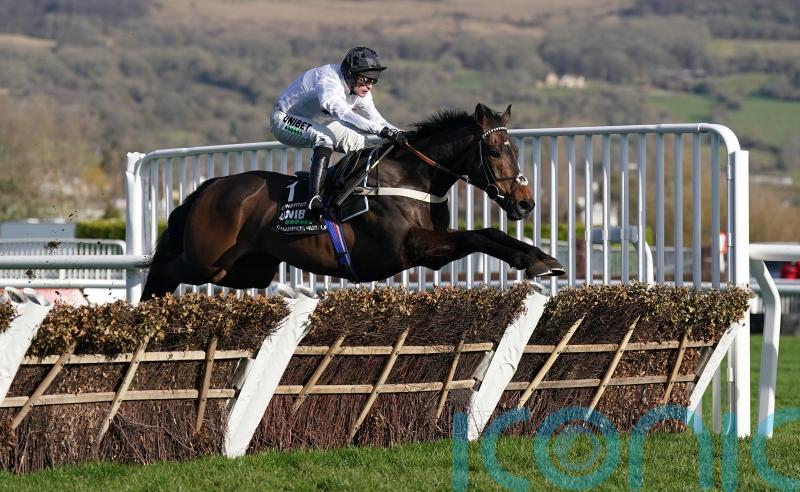 Constitution Hill simply magnificent in Champion Hurdle cruise