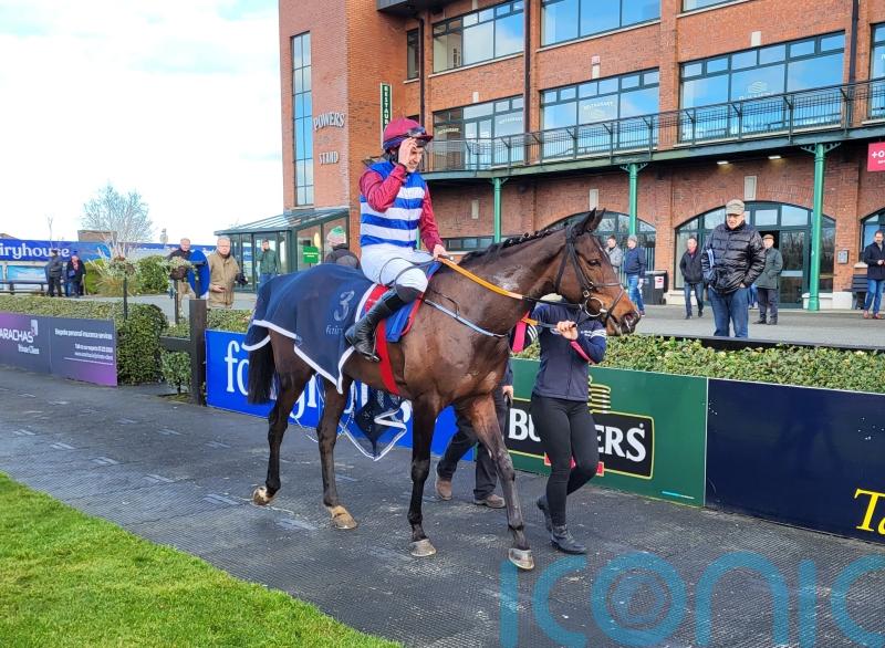 &lsquo;All systems go&rsquo; &ndash; Three Card Brag an ace to play for Elliott in Albert Bartlett