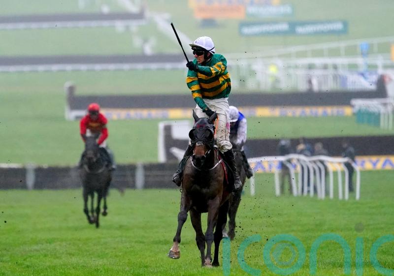 Sire Du Berlais is a Festival hero once again