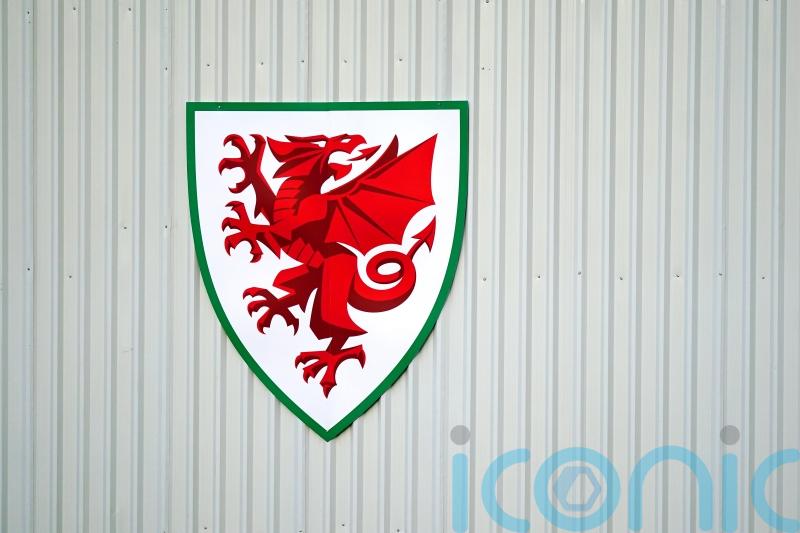 FAW says it takes disciplinary matters seriously in wake of investigation
