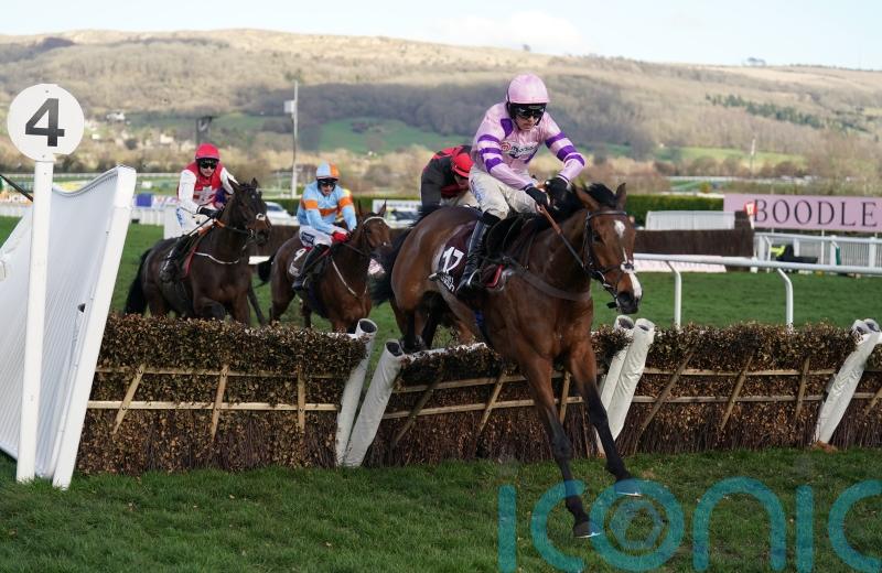 Stay Away Fay powers to Albert Bartlett victory