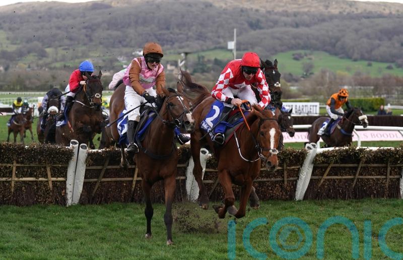 Faivoir gets the nod to give Skelton another County Hurdle