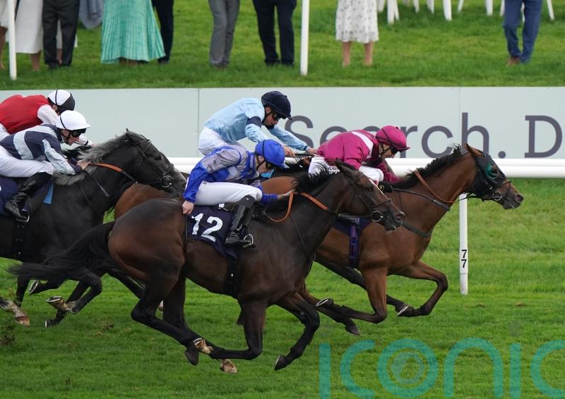 Fellowes hoping sky is the limit for Atrium in the Lincoln