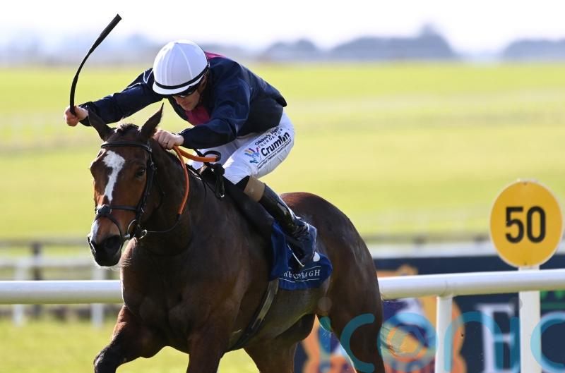 Insinuendo motors to Park Express success at the Curragh