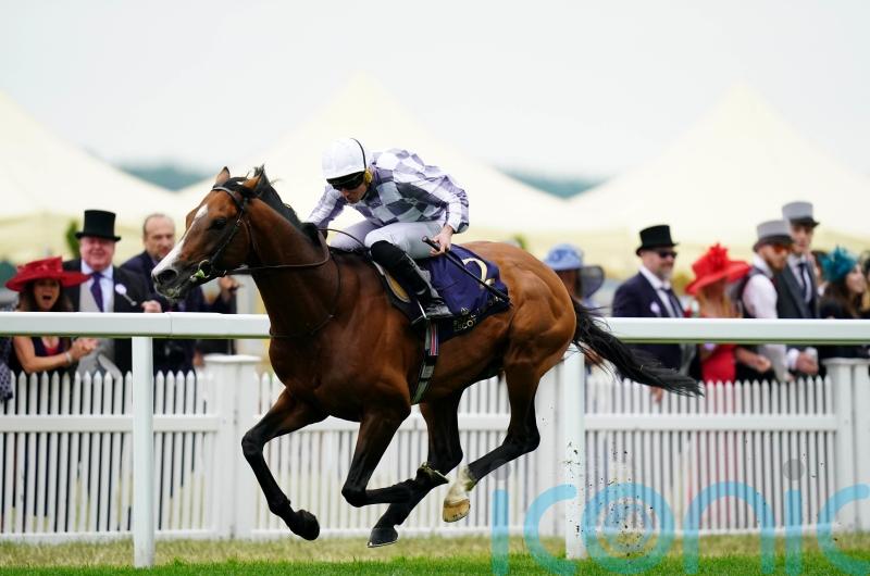 Ascot next for Dubai Gold Cup hero Broome