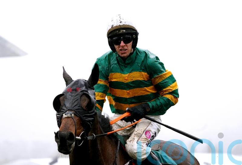 Next stop Aintree for Stayers&rsquo; Hurdle hero Sire Du Berlais