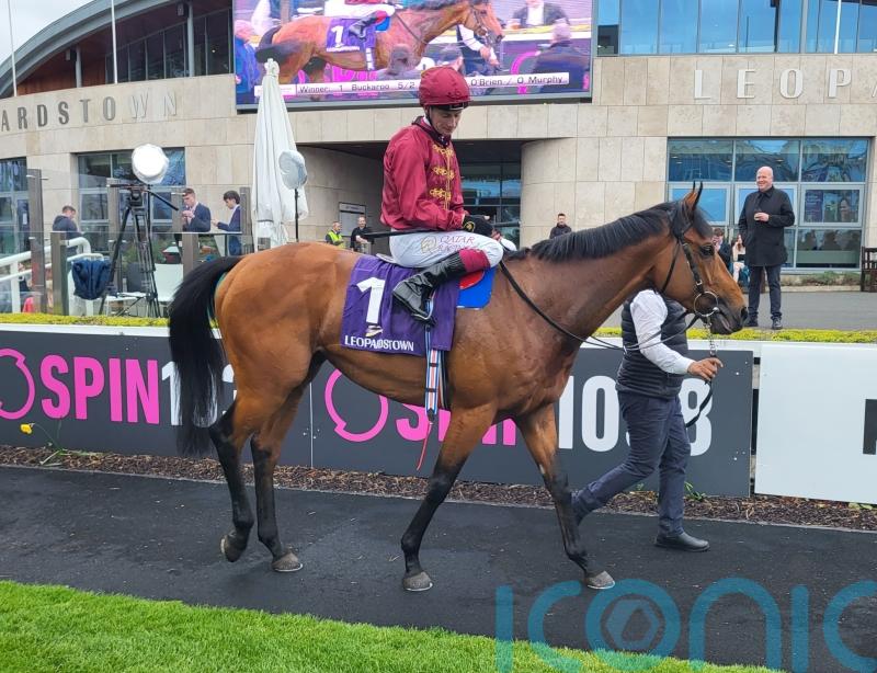 Buckaroo foils Homeless Songs in Leopardstown thriller