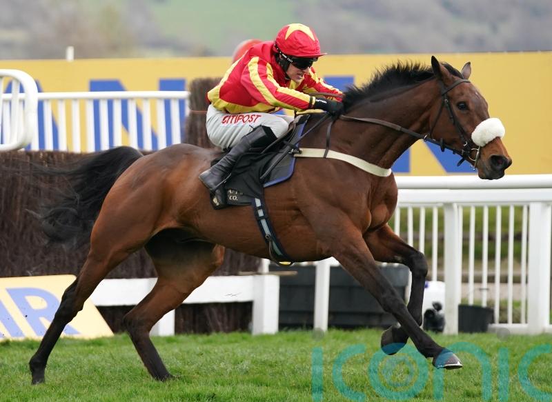 Coole Cody out to bolster fine Cheltenham record