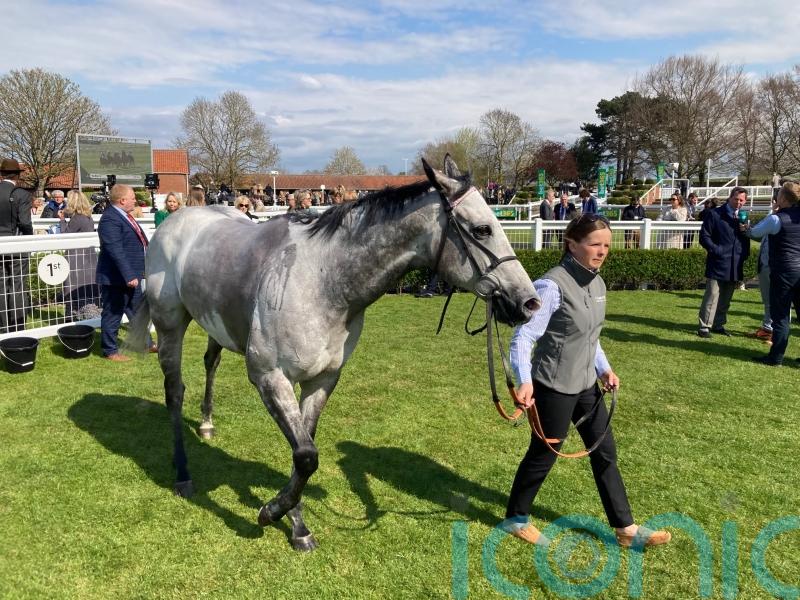 Garrus picks up deserved victory in Abernant Stakes