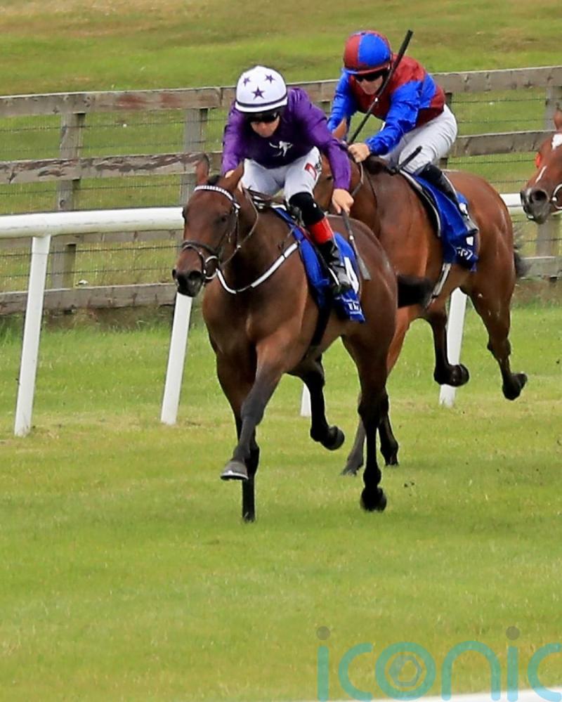 In-form Amo team mount dual assault on Fred Darling prize