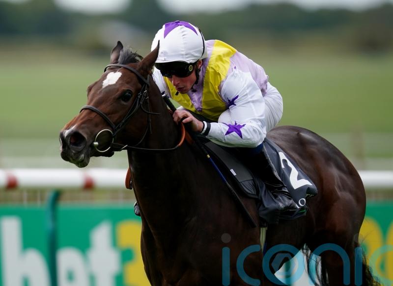 Lezoo and Juliet Sierra set to enhance Beckett&rsquo;s Guineas bid