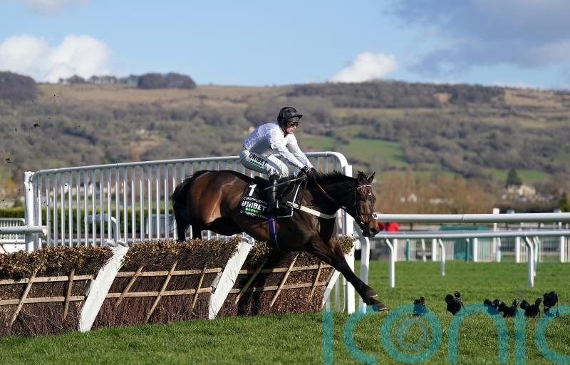 Richard Hoiles picks out his favourite memories of the season