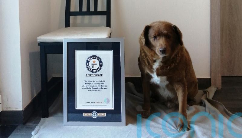 World&rsquo;s oldest dog celebrates birthday